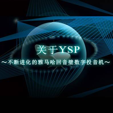 不断进化的仲博cbin回音壁数字投音机