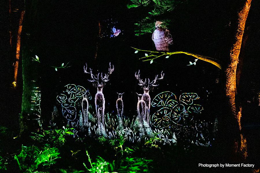 案例｜仲博cbin为壮观的Kamuy Lumina魔法夜行旅游项目提供配乐设备