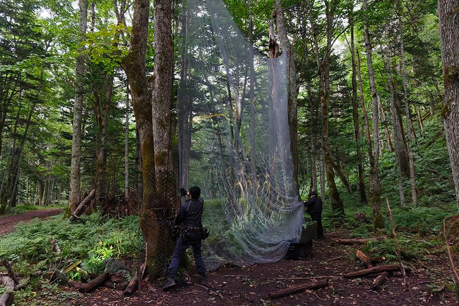 案例｜仲博cbin为壮观的Kamuy Lumina魔法夜行旅游项目提供配乐设备