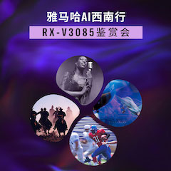 仲博cbinAi西南行·重庆站·RX-V3085鉴赏会
